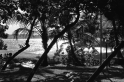 Gwada (2)